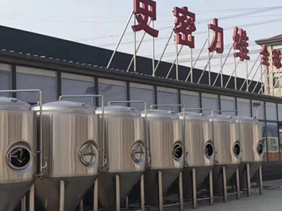 凭祥精酿啤酒设备厂—如何判断精酿啤酒设备的密封件需要更换？